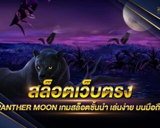 สล็อตเว็บตรง PANTHER MOON เว็บเกมสล็อตออนไลน์ที่ดีที่สุด สนุกสนานได้ตลอด 24 ชั่วโมง สมัครสมาชิกวันนี้รับโปรโมชั่นมากมาย รางวัลใหญ่มากมาย