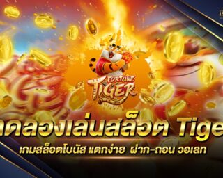 ทดลองเล่นสล็อต tiger เกมสล็อตออนไลน์ไม่มีขั้นต่ำ ทดลองเล่นฟรี ไม่มีค่าใช้จ่ายใดๆทั้งสิ้น เริ่มต้นเดิมพันเพียงแค่ 0.5 บาท แจกรางวัลมากมาย